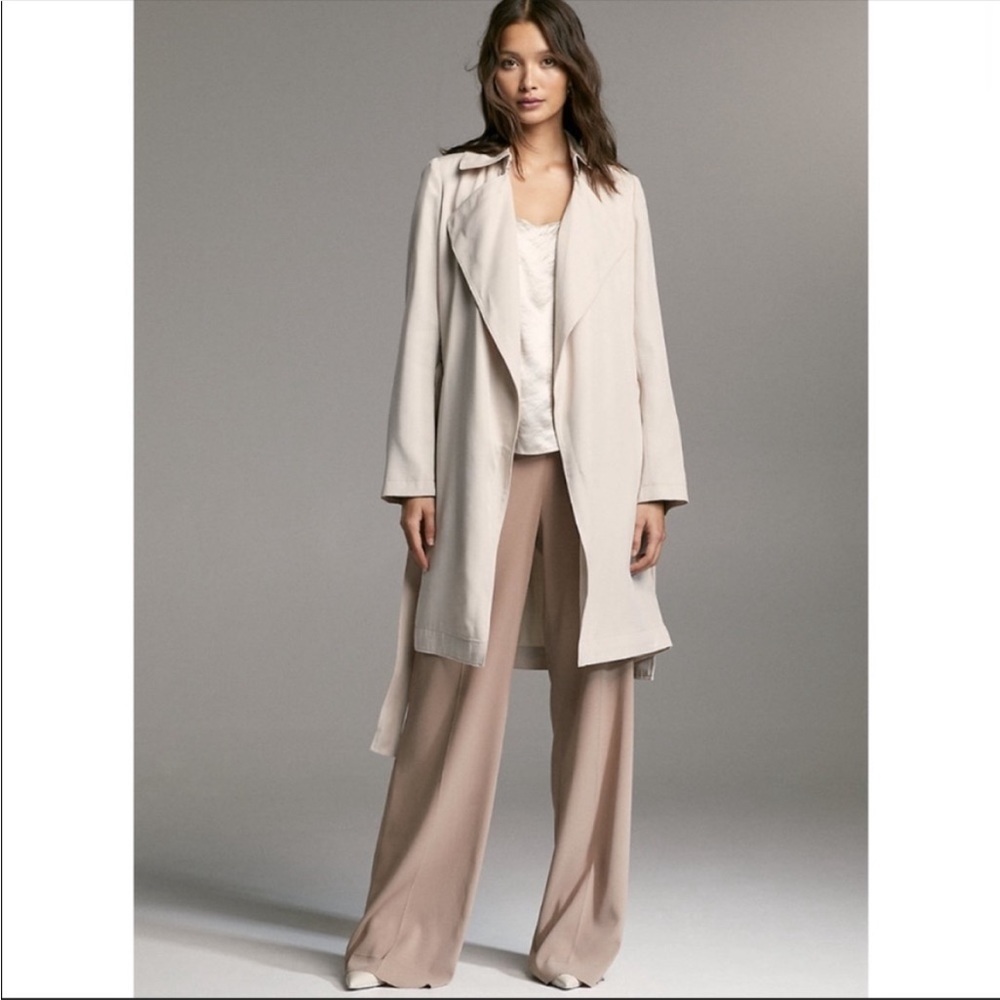 NWT Aritzia Babaton Maximo Trench